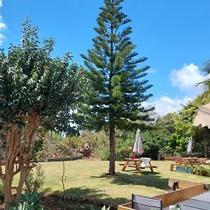 Viewpoint Machico - Lovely Nature View Appartement Machico (Madeira)